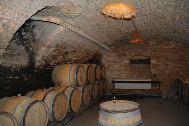 Visit a Wine Cellar in Burgundy