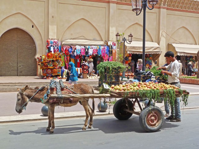 Exploring Marrakech in Morocco