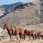 Horseback Riding Vacation at Twin Peaks Ranch, Idaho, USA