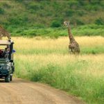 Travel Deals: African Travel, Inc.’s Great Zimbabwe Adventure