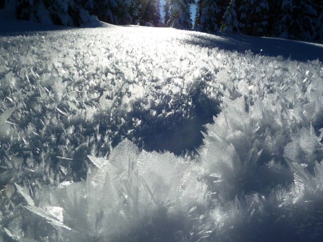 Ice Hoar Crystals in Central Oregon