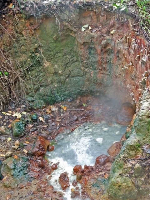 Hot Mud Pool in Dominica