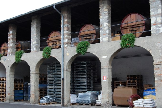 Touring Fratelli Berlucchi Vineyard in Italy