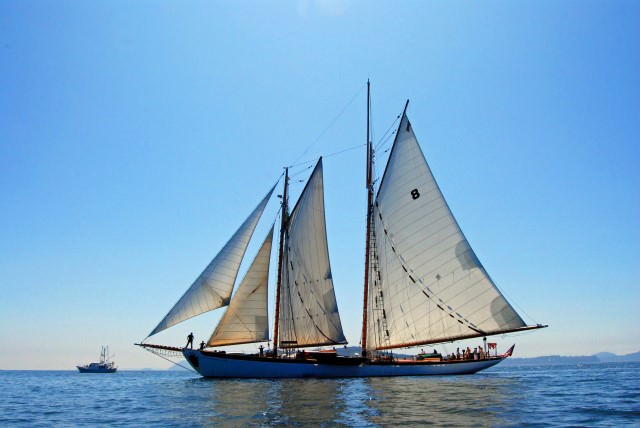 WAVEJourney.com Joins the Schooner Zodiac Spirits and Seafood Cruise in the San Juan Islands