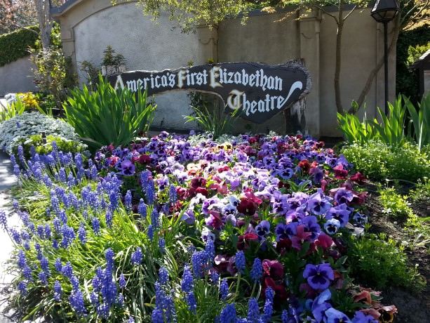 Flowers and Elizabethan Theatre. Photo courtesy of www.oneroadatatime.com