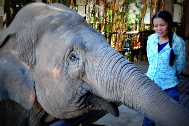 Sangduen “Lek” Chailert, Founder of Elephant Nature Park