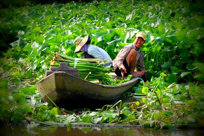 Locals Working on the Mekong River in Vietnam