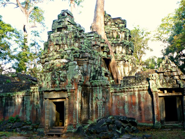 Ta Prohm Angkor Temple 