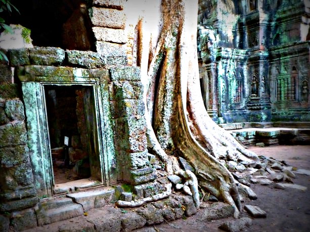 Ta Prohm Angkor Temple in Cambodia