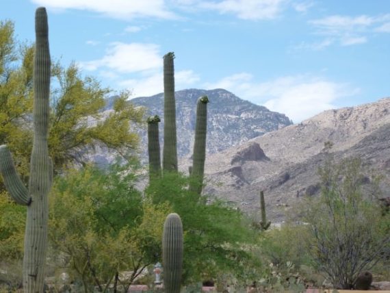Santa Catalina Mountains in Tucson, Arizona
