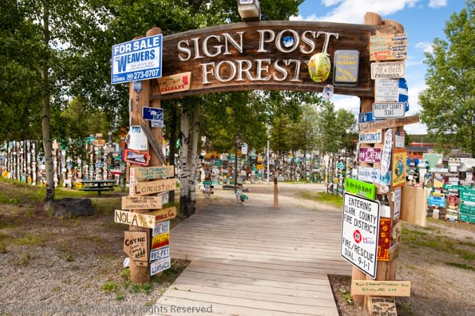 Wish You Were Here – Postcard From Watson Lake, Yukon - Sign Post Forest