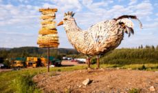 Travel the Alaska Wilderness: Chicken Gold Camp & Outpost