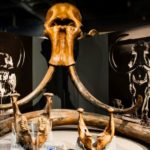 The Best Museum in Fairbanks - The University of Alaska Museum of the North.