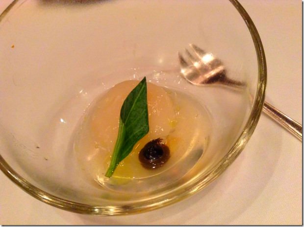 Amuse - North Sea Scallop