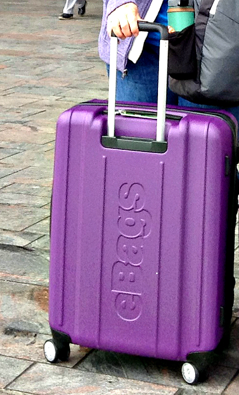 eBags EXO 2.0 Hardside 24 Spinner Luggage