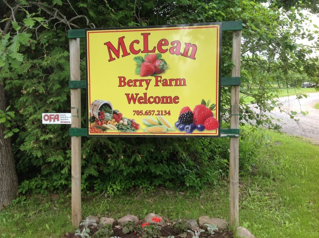 Kawarthas Region - McLean Berry Farm