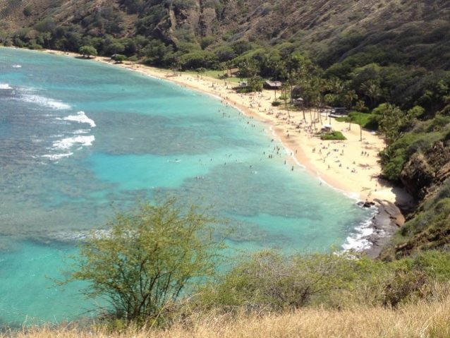 Is Hanauma Bay the Best Snorkeling Spot in Hawaii? | WAVEJourney