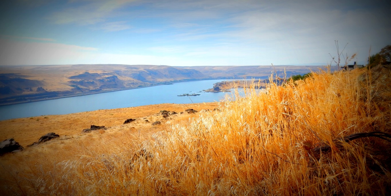 View of the Columbia River from Maryhill Museum