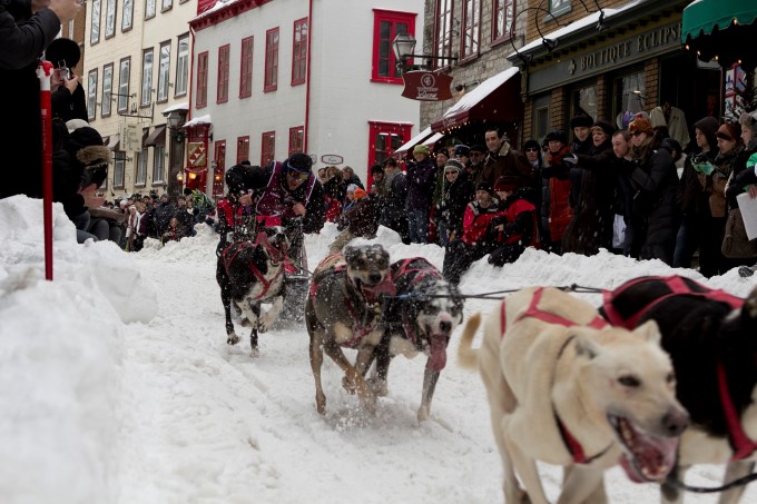 Quebec Winter Carnival - Dog Sledding race 