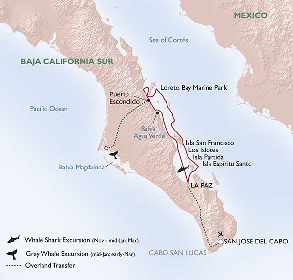 Un-Cruise Adventures - Baja's Bounty Itinerary