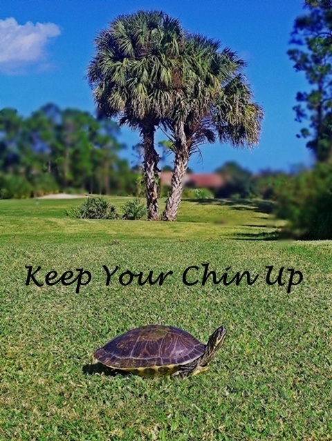 Keep Your Chin Up