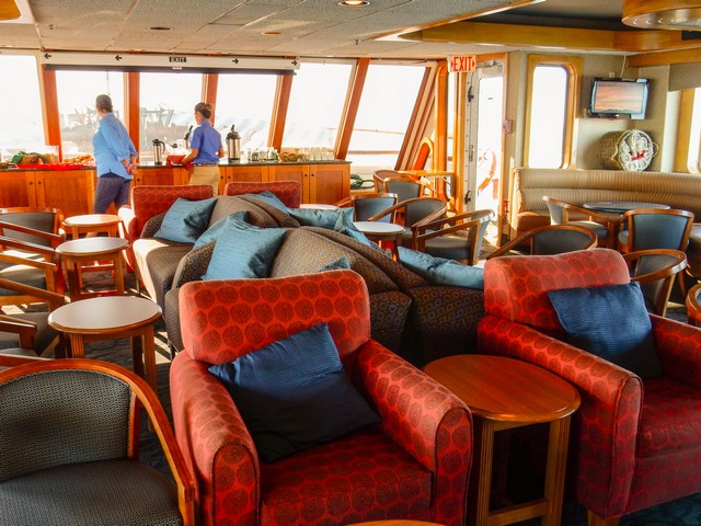 Safari Endeavour Lounge