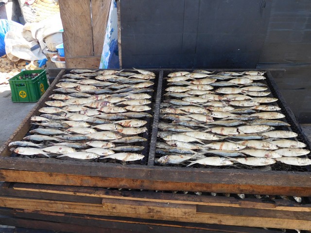 Fish in the process of being smoked