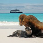 Lindblad Expeditions' New National Geographic Endeavour II Galapagos Cruise