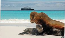 Lindblad Expeditions’ New National Geographic Endeavour II