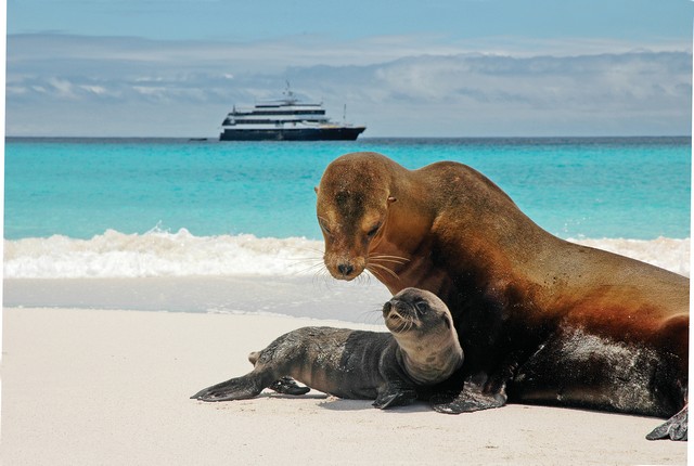 Lindblad Expeditions' New National Geographic Endeavour II Galapagos Cruise