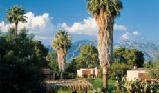 Travel USA: Pure Escapism at Arizona Inn in Tucson