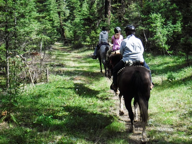 Horse Riding on Wooded Trails at Echo Valley Ranch