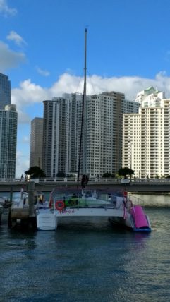 Miami Sunset Cruise with Playtime Watersports