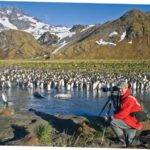 Cruise News: Lindblad Expeditions-National Geographic Bioblitz in Sub-Antarctic