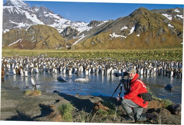 Cruise News: Lindblad Expeditions-National Geographic Bioblitz in Sub-Antarctic