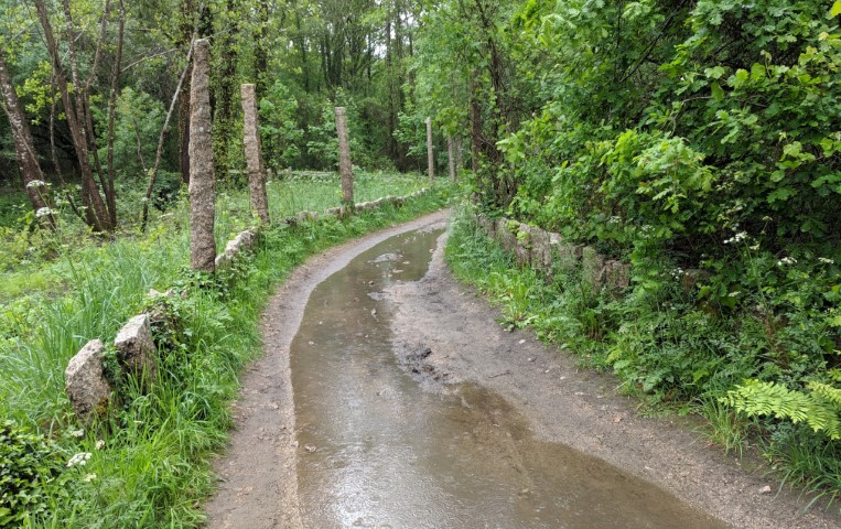 Flooded trail on the Camino Portuguese