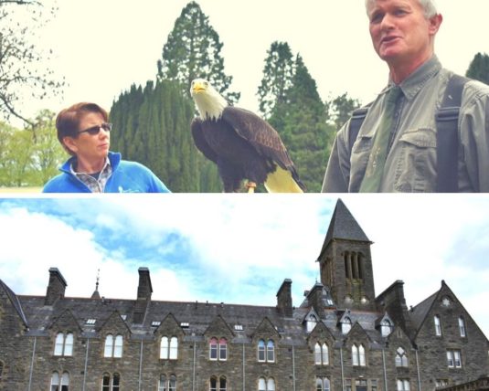 Birds of Pray and Falconry Excursion